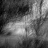 p1830386
